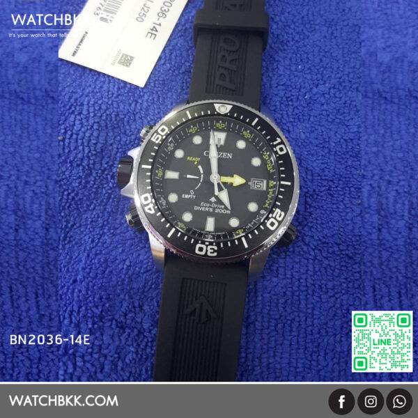 BN2036-14E-citizen-watch